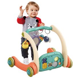 Multi-function Baby Gym with Learning Walker