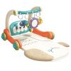 Multi-function Baby Gym with Learning Walker