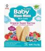 HOT KID: Teether Baby Super Berry, 1.76 oz