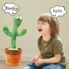 Dancing Cactus; Speak Sound Record Repeat; Kawaii Children Education