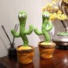 Dancing Cactus; Speak Sound Record Repeat; Kawaii Children Education